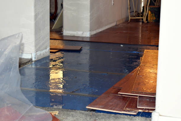 Professional Flood Cleanup technician working in Lamont, WA